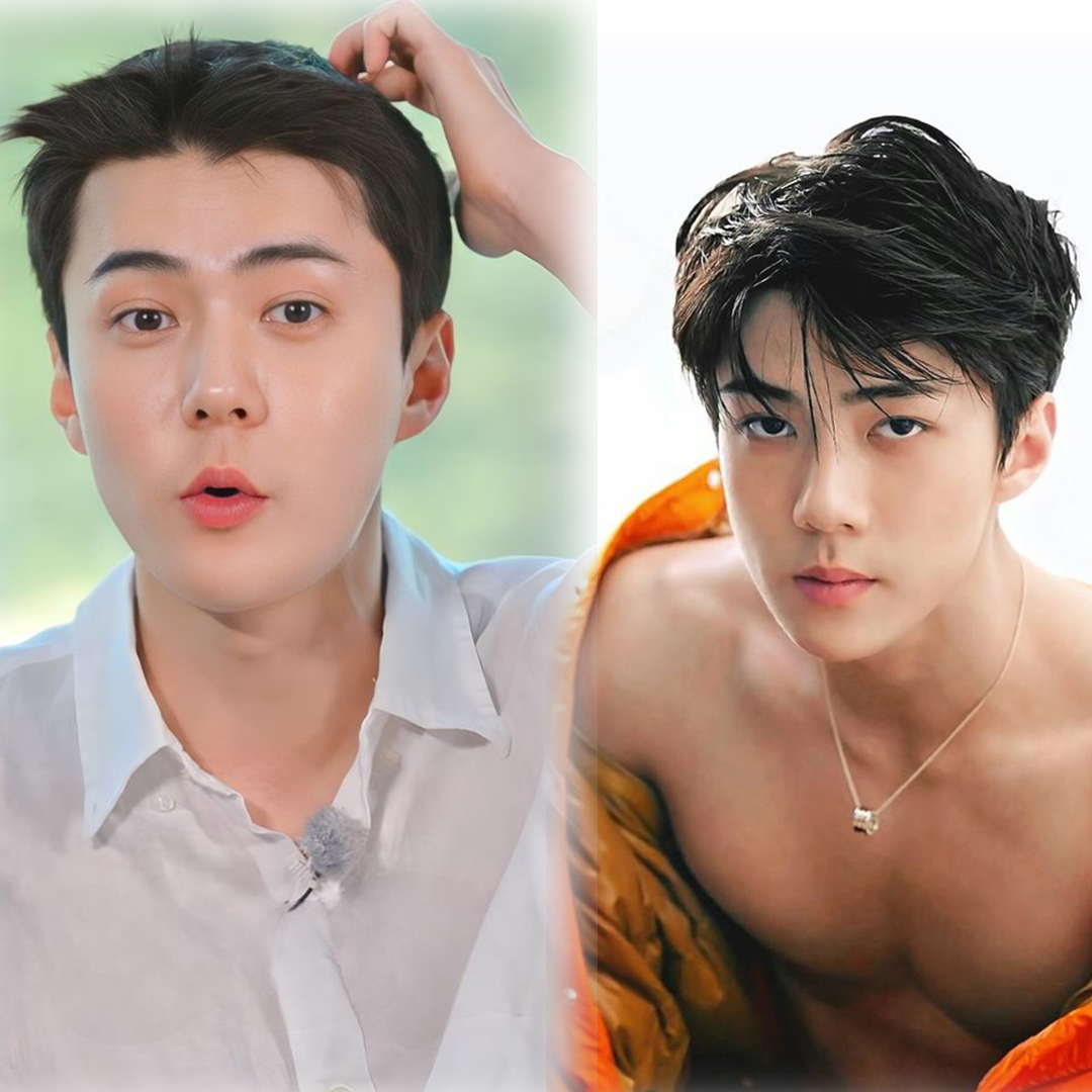 隊友伯賢認證:「他真的很雄偉!」 韓國天團 EXO 吳世勳的「大包」合輯!-NICEOLO