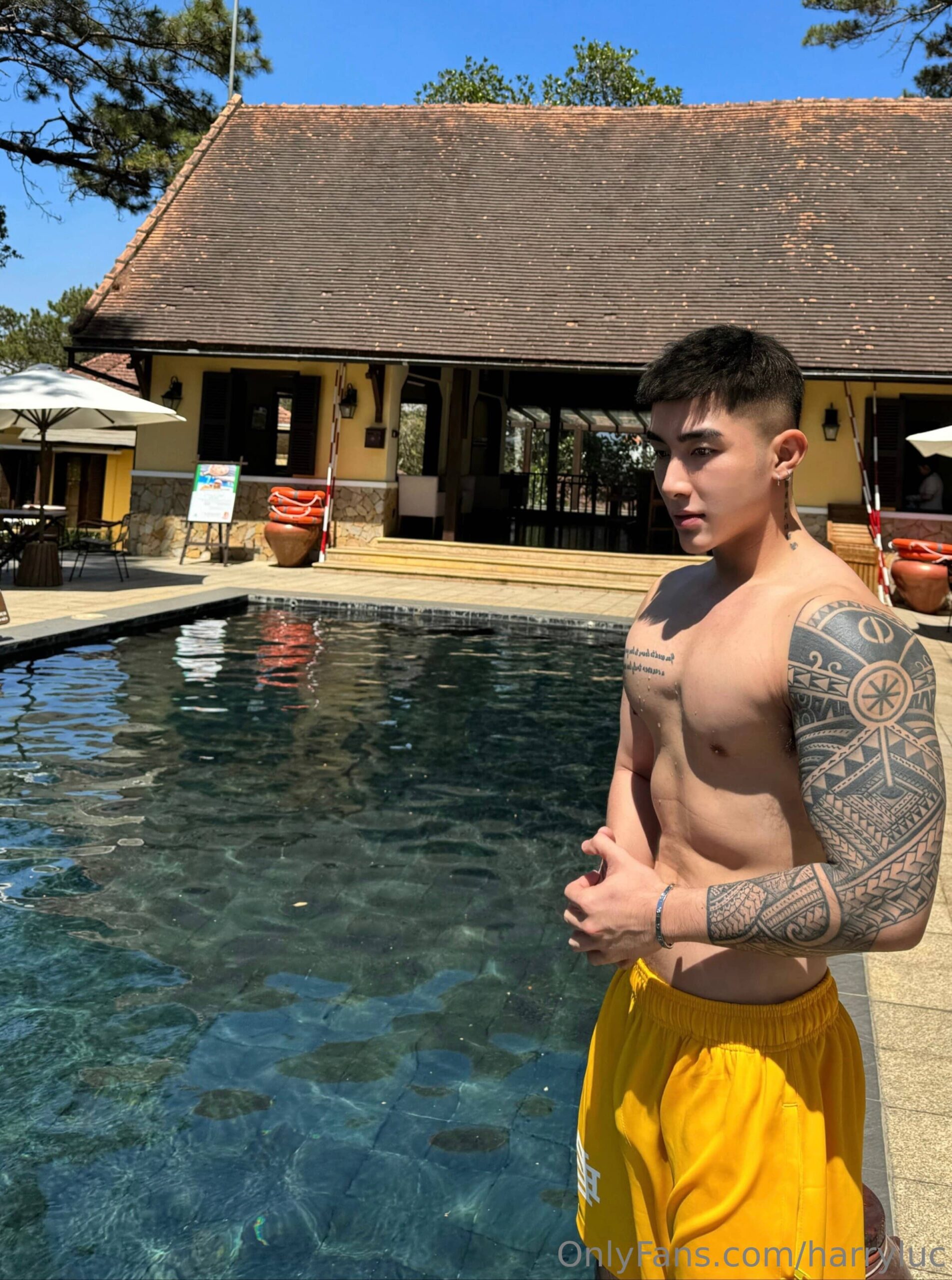 Harryluc – Lục Triều Vỹ collection P2-NICEOLO
