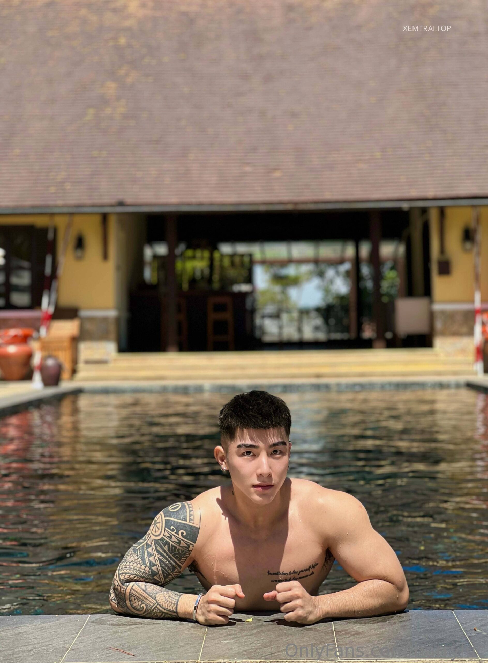 Harryluc – Lục Triều Vỹ collection P2-NICEOLO