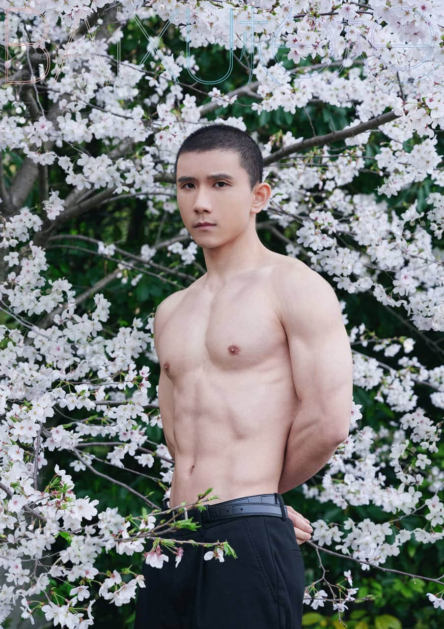 BAIXU柏旭 Collection-NICEOLO