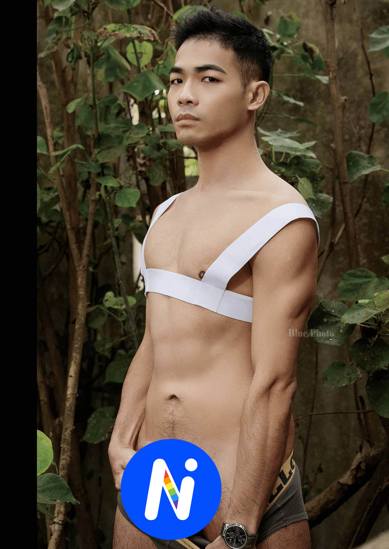 Bluephoto 藍攝 No.311 直視野狼的大秘密 Lee-NICEOLO