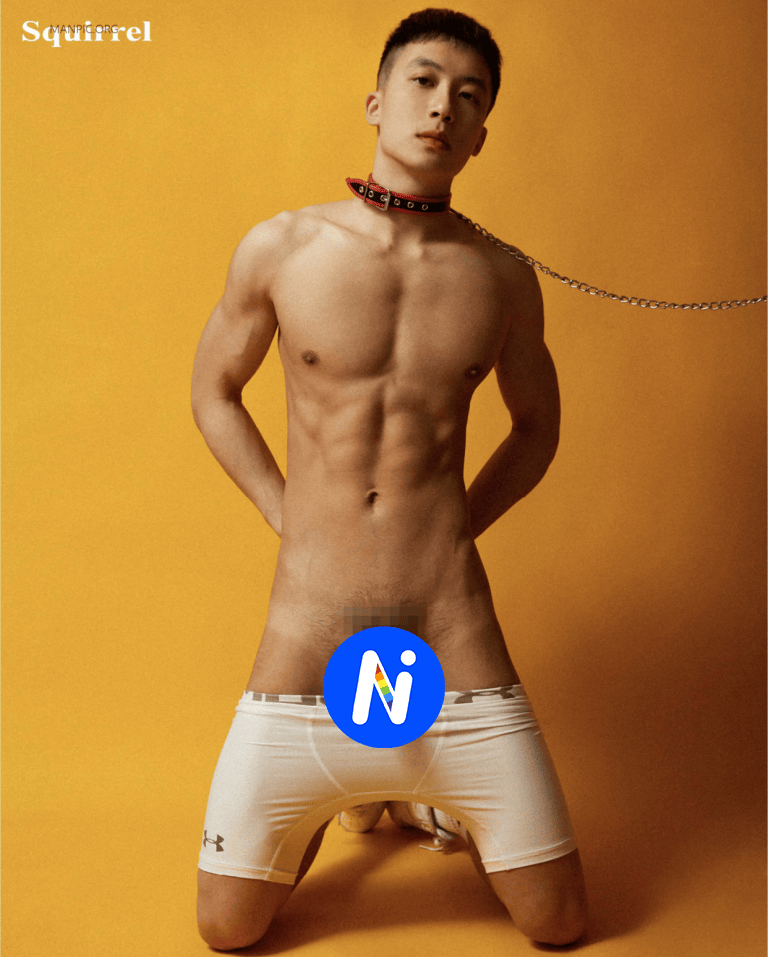 Squirrel No.10B-NICEOLO