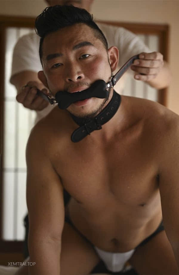 Mrbody 2024.NO.11 Benson-NICEOLO