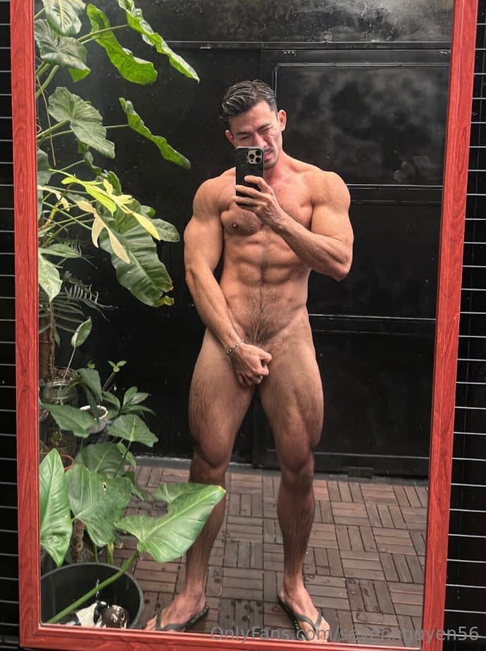 Nguyễn Duy Hải collection P3-NICEOLO