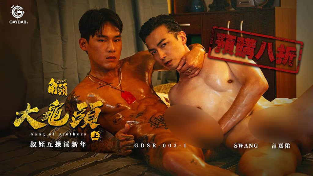 GAYDAR – GDSR-003-1-NICEOLO
