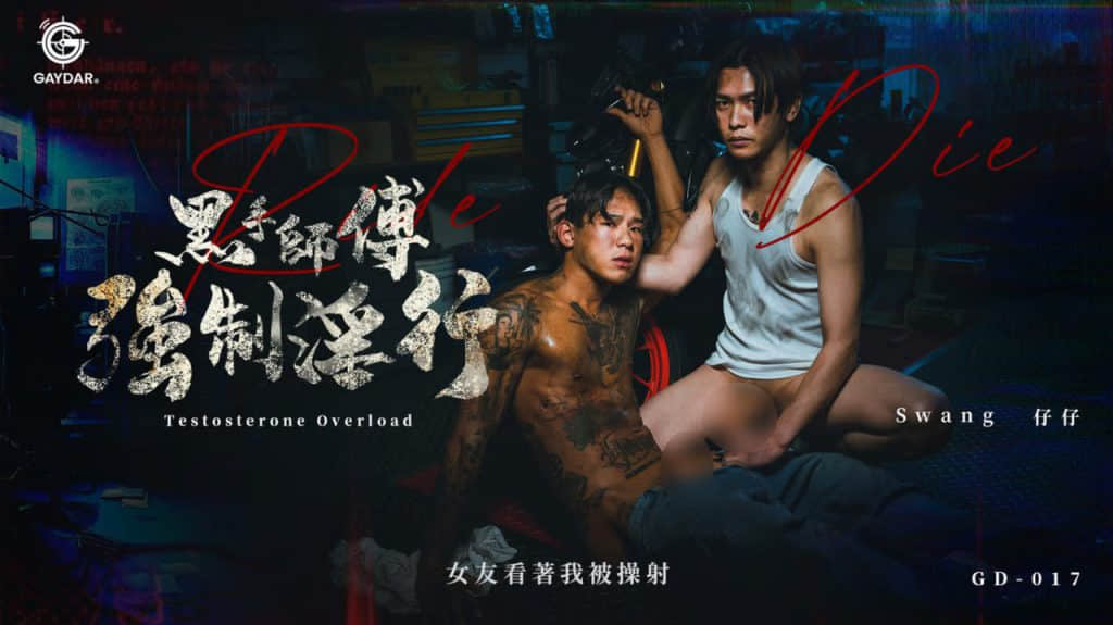 Gaydar-GD-017 – Swang-NICEOLO