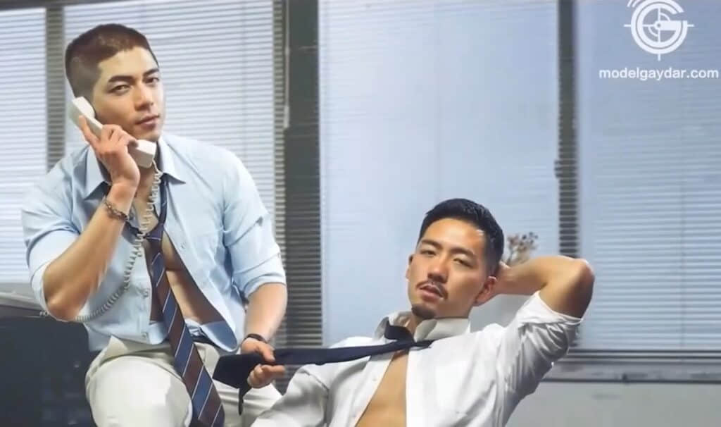 Gaydar Office EP3-NICEOLO