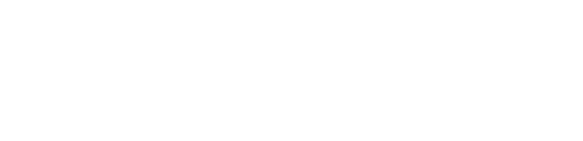 NICEOLO