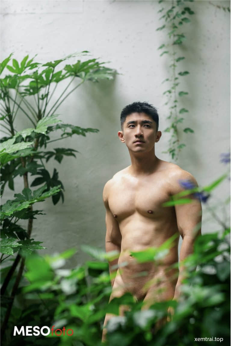 MESOfotoBOOK 07-NICEOLO